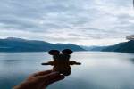original IMG-20250816-WA0018