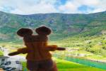 original IMG-20250816-WA0026