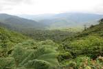 original pixabay monteverde