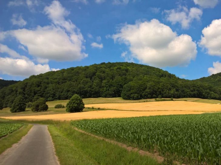 Bad Pyrmont Erleben und Genießen