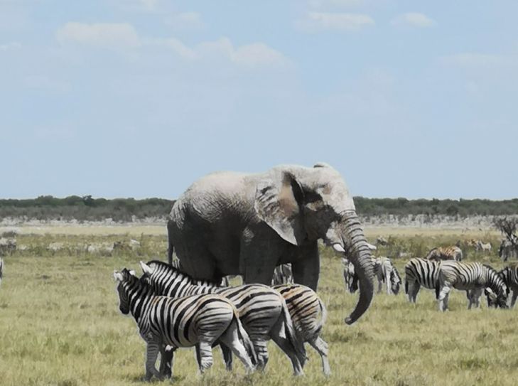 Namibia der Einstieg für Afrika