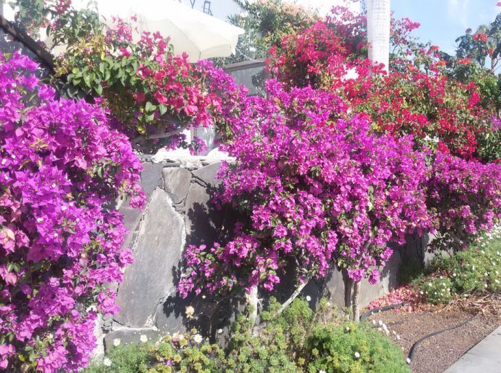 Gran Canaria  Perle im Atlantik