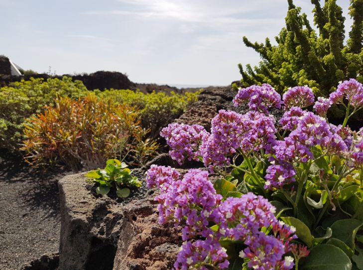 Lanzarote - Vulkaninsel im Atlantik