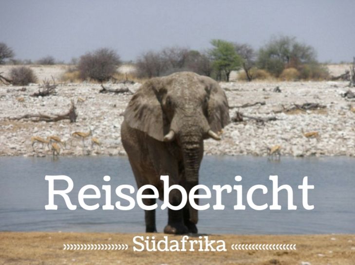 suedafrika-startseite-reisebericht-gro-alt