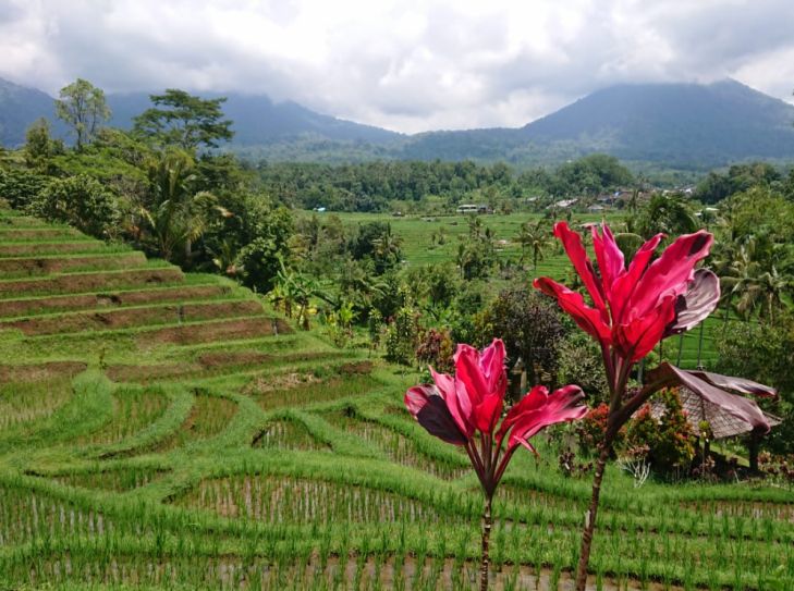 Kombination Bali und Singapur