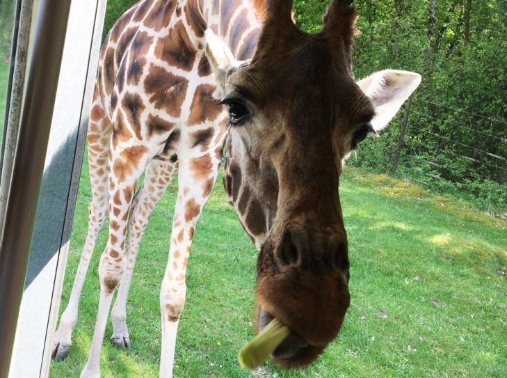 Serengeti Park Hodenhagen