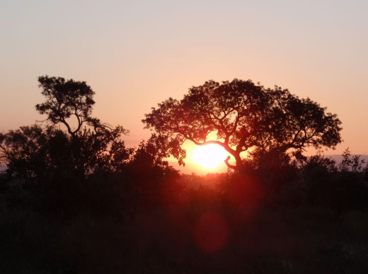 Krüger Nationalpark - Südafrika