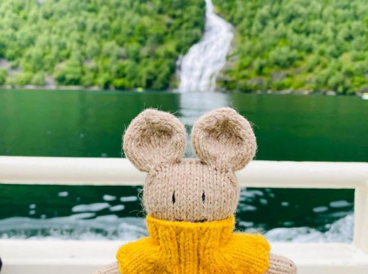 Hochseekreuzfahrt Norwegische Küste